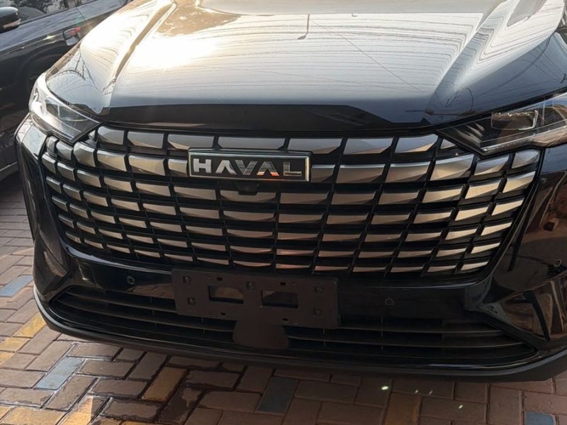 bank-leased-havel-h6-phev
